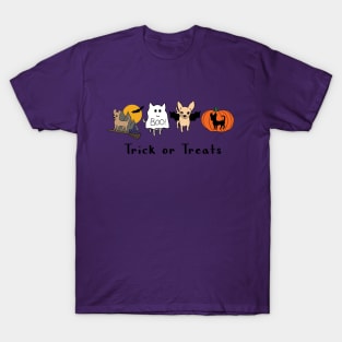 Lilac Halloween Chis - Smooth coat chihuahuas - Halloween Chihuahua Tee T-Shirt